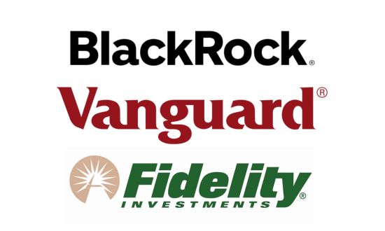Die größten Fondsmanager der Welt: BlackRock, Vanguard AM, Fidelity Investments