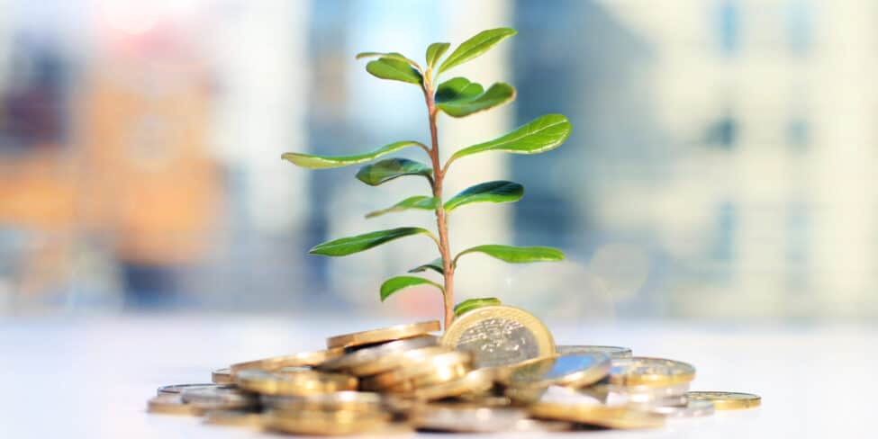 Baum waechst mit Geld 975x488 1